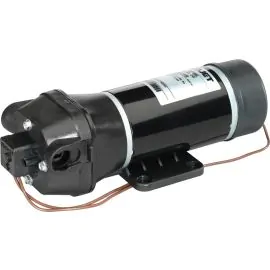 Flojet 4000 Series Demand Pump - 12V R4300-142A